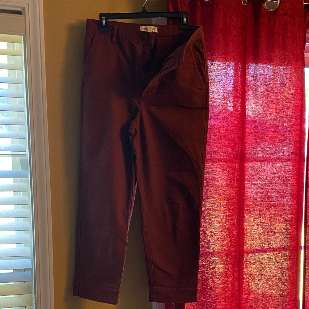 Mens Stylish Rust Chinos